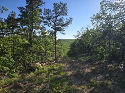 Kiamichi Mountain Land for Sale in Albion, Oklahoma - image 5