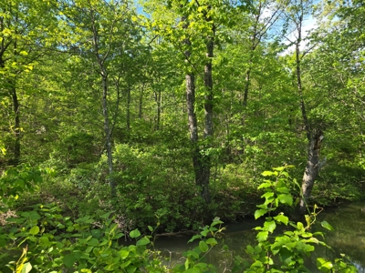 Kiamichi Mountain Land for Sale in Albion, Oklahoma - image 8