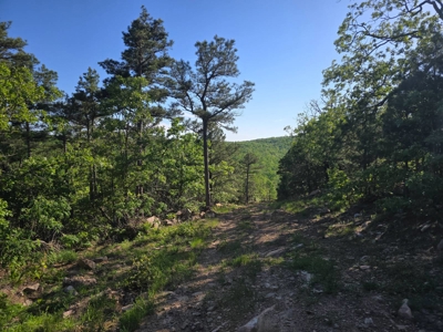 Kiamichi Mountain Land for Sale in Albion, Oklahoma - image 1