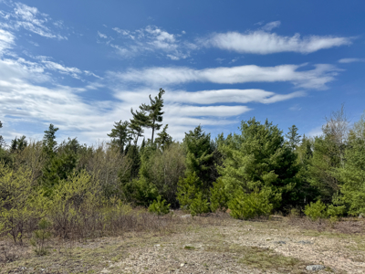 1206± Acres of Pristine Forestland - image 16