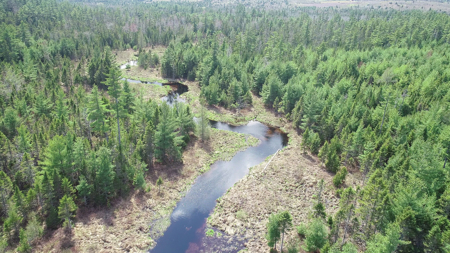 1206± Acres of Pristine Forestland - image 4