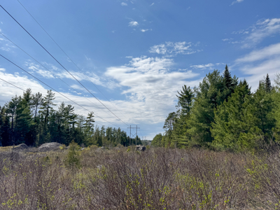 1206± Acres of Pristine Forestland - image 15
