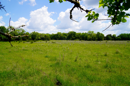 NO RESERVE REAL ESTATE AUCTION Agra, OK Tr 1 of 3, 40 Ac & Home - image 8