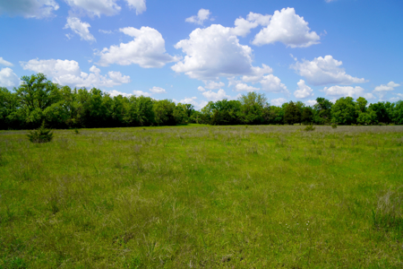 NO RESERVE REAL ESTATE AUCTION Agra, OK Tr 1 of 3, 40 Ac & Home - image 9