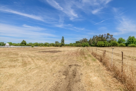 Davis, California Horse Properties with Country Homes for Sale - image 35
