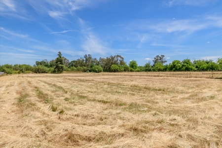 Davis, California Horse Properties with Country Homes for Sale - image 39