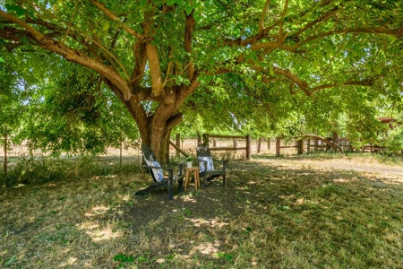 Davis, California Horse Properties with Country Homes for Sale - image 40