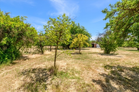 Davis, California Horse Properties with Country Homes for Sale - image 41