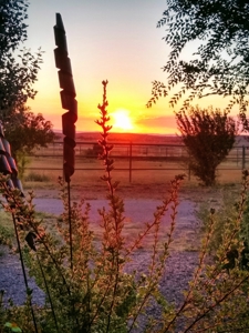 Horse / Farm Property in Small Town For Sale Northern AZ - image 23