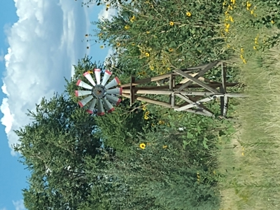 Horse / Farm Property in Small Town For Sale Northern AZ - image 28