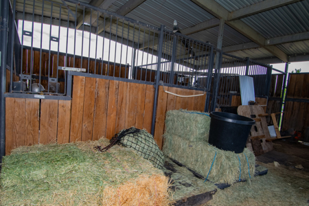 Horse / Farm Property in Small Town For Sale Northern AZ - image 43