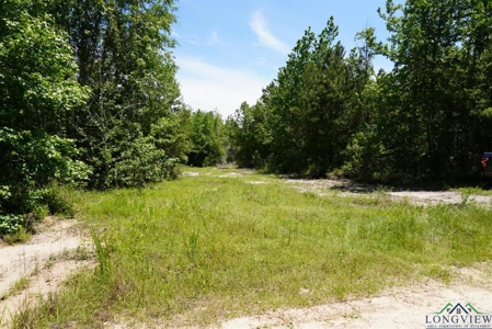Secluded 12+ acre parcel in Jefferson, TX - image 11