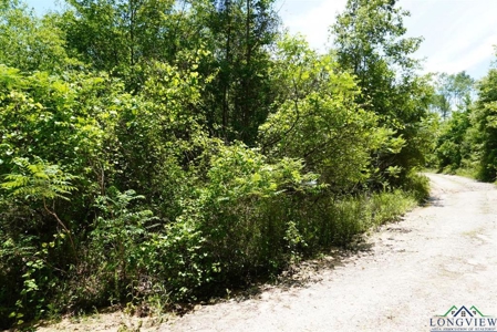 Secluded 12+ acre parcel in Jefferson, TX - image 20