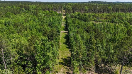 Secluded 12+ acre parcel in Jefferson, TX - image 16