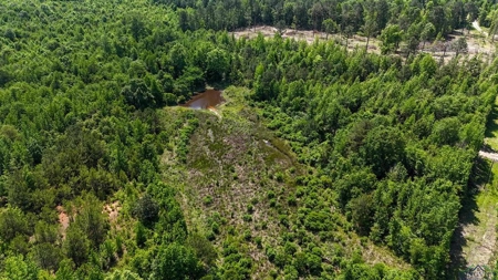 Secluded 12+ acre parcel in Jefferson, TX - image 21