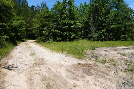 Secluded 12+ acre parcel in Jefferson, TX - image 6