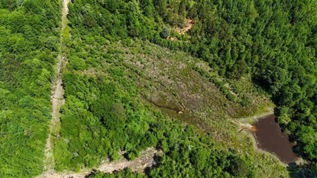 Secluded 12+ acre parcel in Jefferson, TX - image 19