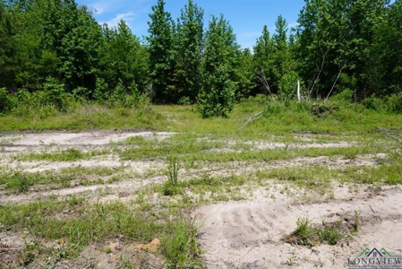 Secluded 12+ acre parcel in Jefferson, TX - image 18