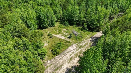 Secluded 12+ acre parcel in Jefferson, TX - image 24