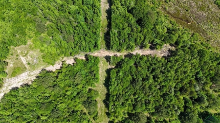 Secluded 12+ acre parcel in Jefferson, TX - image 12