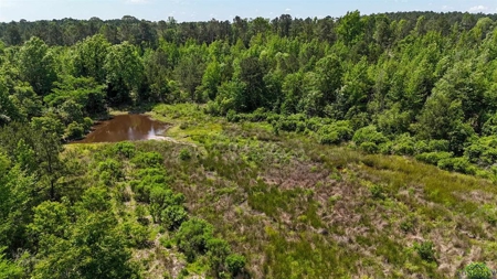 Secluded 12+ acre parcel in Jefferson, TX - image 15
