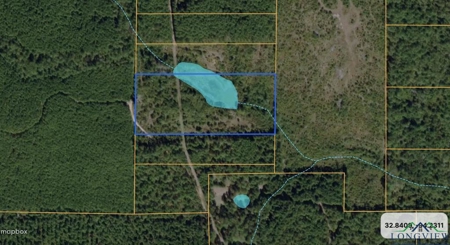 Secluded 12+ acre parcel in Jefferson, TX - image 7