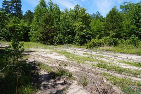 Secluded 12+ acre parcel in Jefferson, TX - image 23