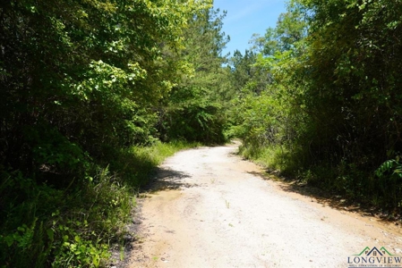 Secluded 12+ acre parcel in Jefferson, TX - image 9