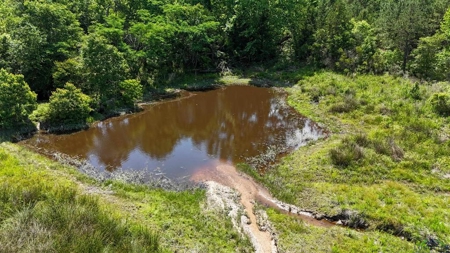 Secluded 12+ acre parcel in Jefferson, TX - image 14