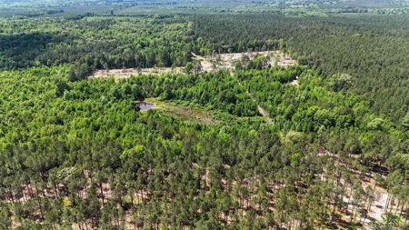 Secluded 12+ acre parcel in Jefferson, TX - image 25