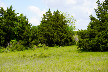 NO RESERVE REAL ESTATE AUCTION Tr 3 of 3 = 80 Acres +/- Agra, OK - image 6