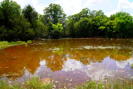 NO RESERVE REAL ESTATE AUCTION Tr 3 of 3 = 80 Acres +/- Agra, OK - image 9