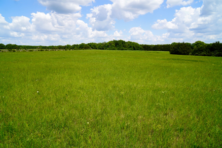 NO RESERVE REAL ESTATE AUCTION Tr 3 of 3 = 80 Acres +/- Agra, OK - image 3
