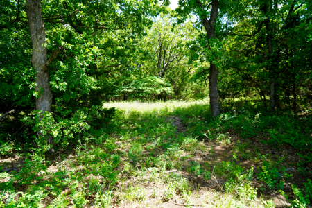 NO RESERVE REAL ESTATE AUCTION Tr 3 of 3 = 80 Acres +/- Agra, OK - image 11