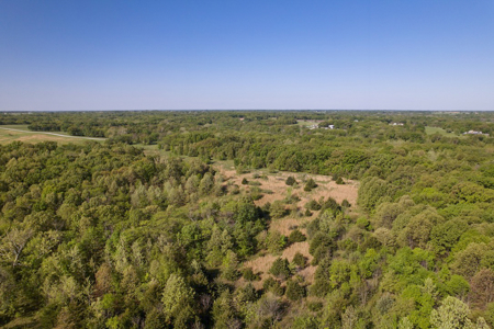 Land For Sale in Caldwell County MO – Prime Recreation Property - image 13