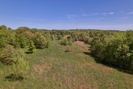 Land For Sale in Caldwell County MO – Prime Recreation Property - image 31