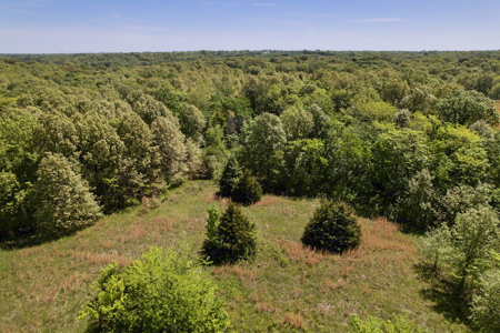 Land For Sale in Caldwell County MO – Prime Recreation Property - image 15