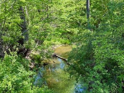 Land For Sale in Caldwell County MO – Prime Recreation Property - image 34