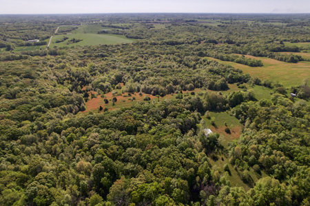 Land For Sale in Caldwell County MO – Prime Recreation Property - image 24