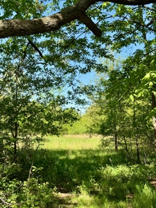 Land For Sale in Caldwell County MO – Prime Recreation Property - image 36