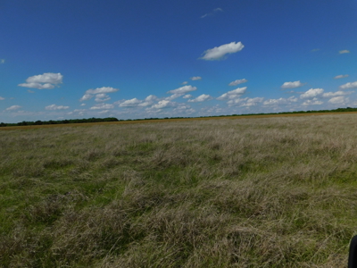 Great 178.09 plus Acres on the Coleman, Callahan County Line - image 21