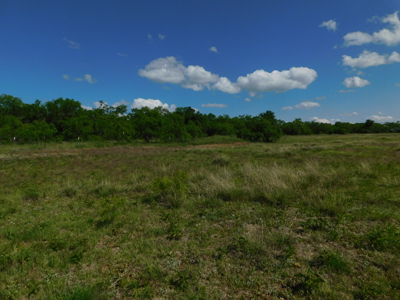 Great 178.09 plus Acres on the Coleman, Callahan County Line - image 23