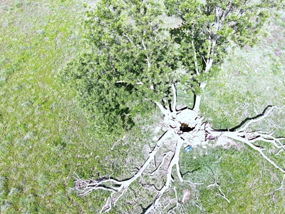 Great 178.09 plus Acres on the Coleman, Callahan County Line - image 9