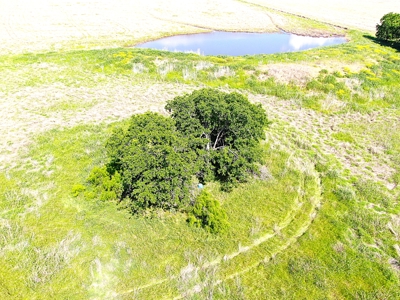 Great 178.09 plus Acres on the Coleman, Callahan County Line - image 13