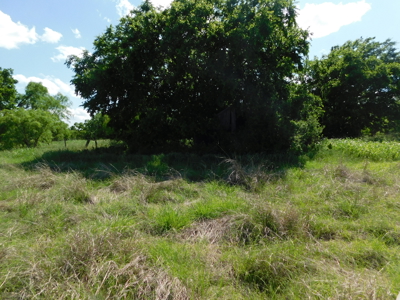 Great 178.09 plus Acres on the Coleman, Callahan County Line - image 16