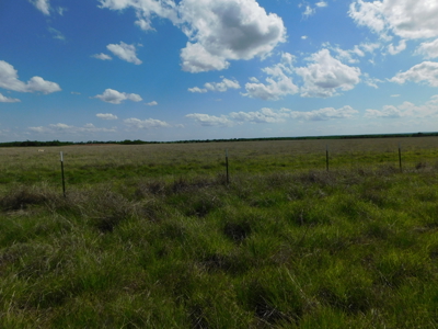 Great 178.09 plus Acres on the Coleman, Callahan County Line - image 15