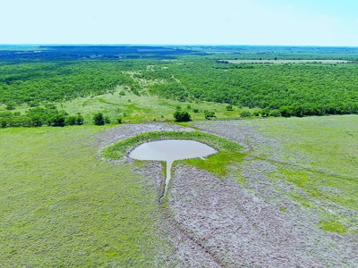 Great 178.09 plus Acres on the Coleman, Callahan County Line - image 8