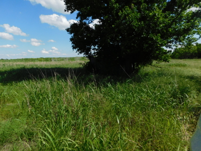 Great 178.09 plus Acres on the Coleman, Callahan County Line - image 17