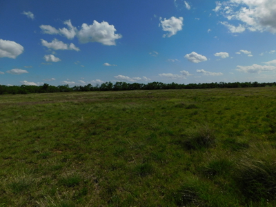 Great 178.09 plus Acres on the Coleman, Callahan County Line - image 24