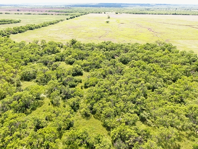 Great 178.09 plus Acres on the Coleman, Callahan County Line - image 5